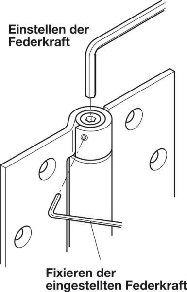 Federband für ungefälzte Türen bis 60 kg Startec